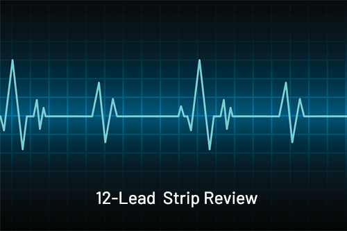 12-Lead