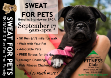 Sweat For Pets 5K Run & 1/2 Mile Fun Walk - 09/17/2020 ...