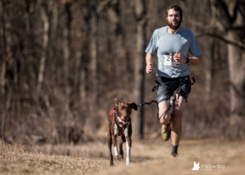 Cani Cross America 02 08 2021 Race Information Canicross Calendrier 2022