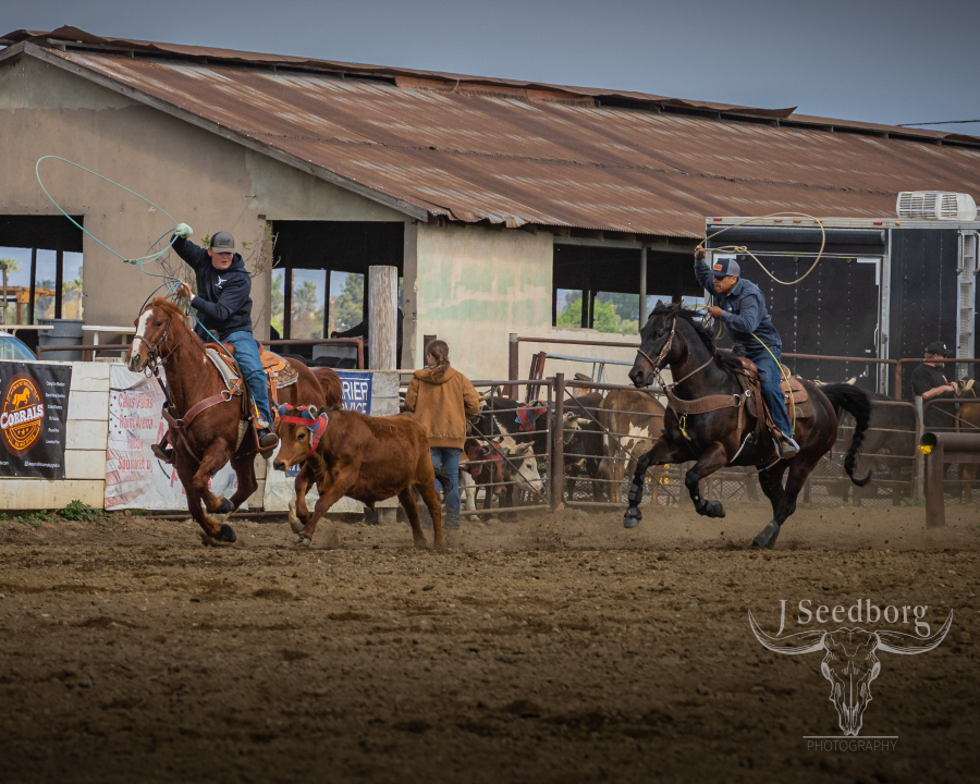 https://s3-us-west-2.amazonaws.com/images.rodeoticket.com/event-resource-photo/jseedborg-photography-event-resource-photo-0.png
