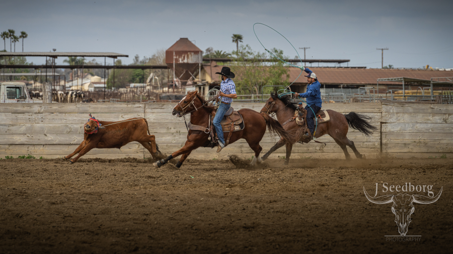 https://s3-us-west-2.amazonaws.com/images.rodeoticket.com/event-resource-photo/jseedborg-photography-event-resource-photo-2.png