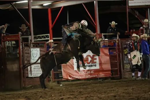 images.rodeoticket.com/infopages2/wet-mountain-valley-stampede-prcawpra-rodeo-infopages2-12564.webp