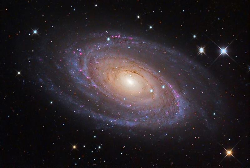M81