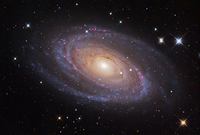 M81