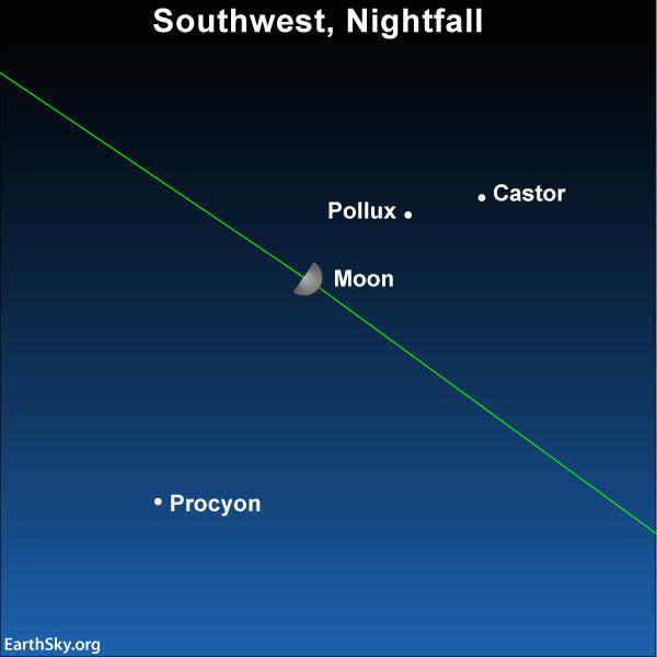 2019 april 12 moon castor pollux and procyon