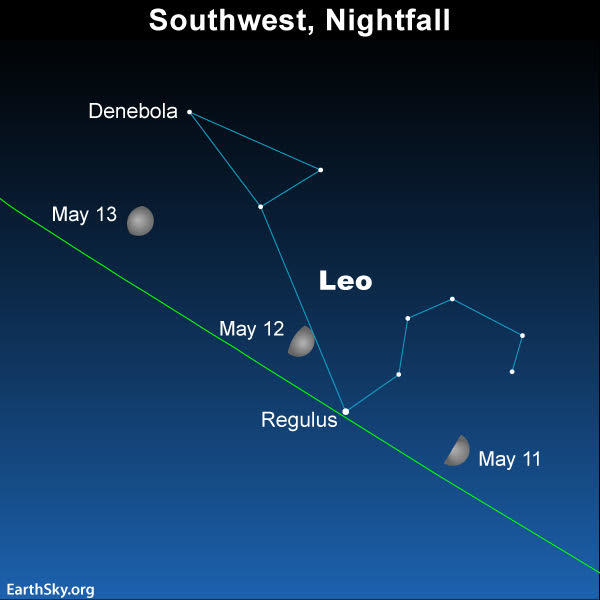 2019 may11 12 13 moon and regulus