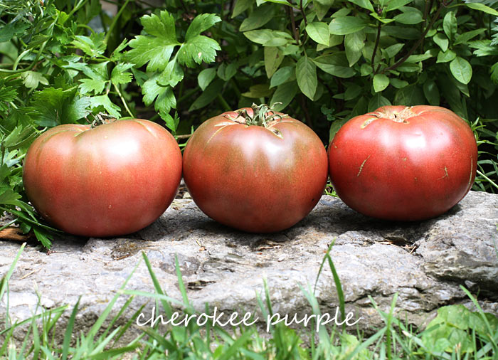 A Midsummer's Garden - Why You Should Grow Your Own Vegetables & Herbs from Soupaddict.com