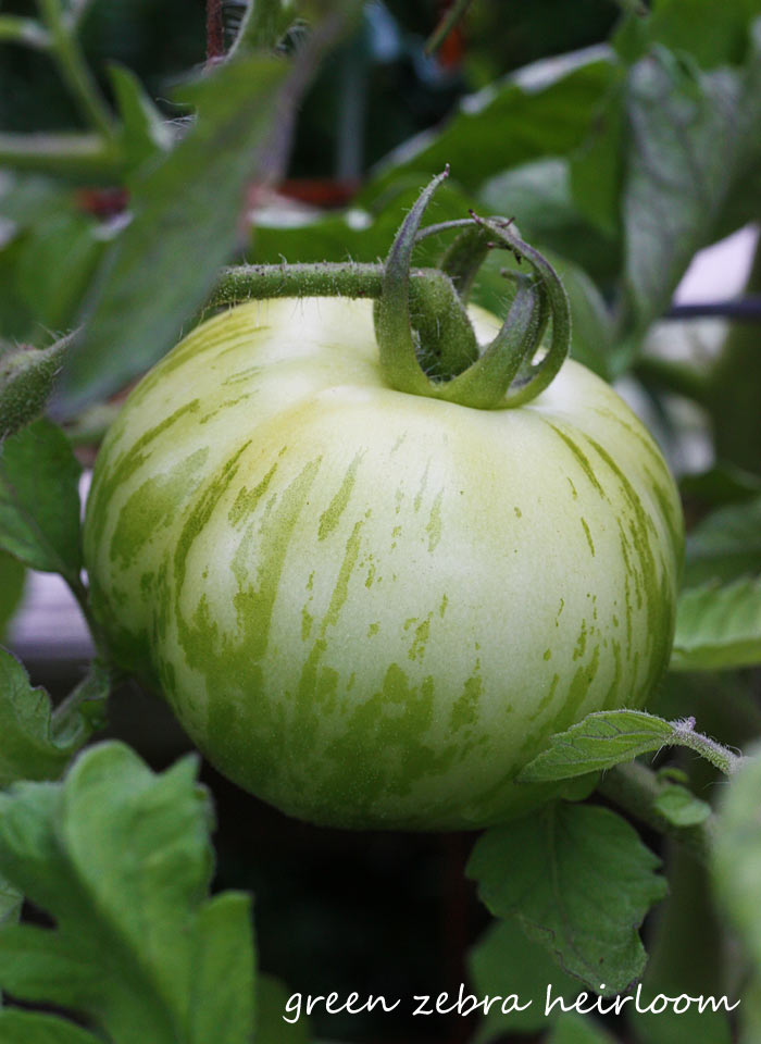 A Midsummer's Garden - Why You Should Grow Your Own Vegetables & Herbs from Soupaddict.com