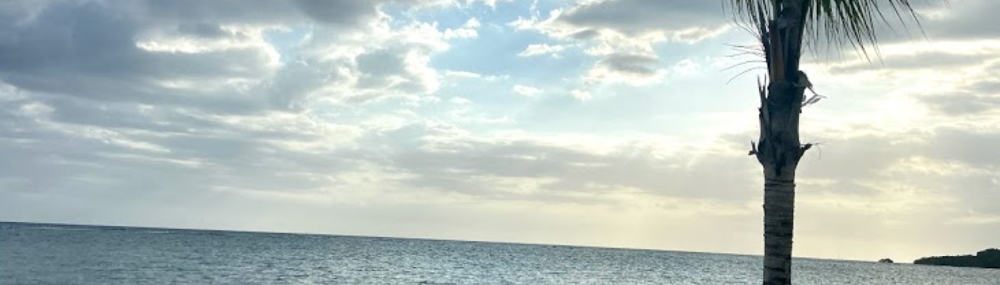 Profile banner image for Delasity