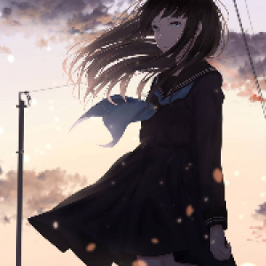 Profile avatar image for sunshine01