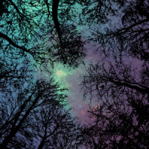 Profile avatar image for MidnightStars