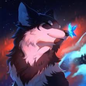 Profile avatar image for OkamixSeele