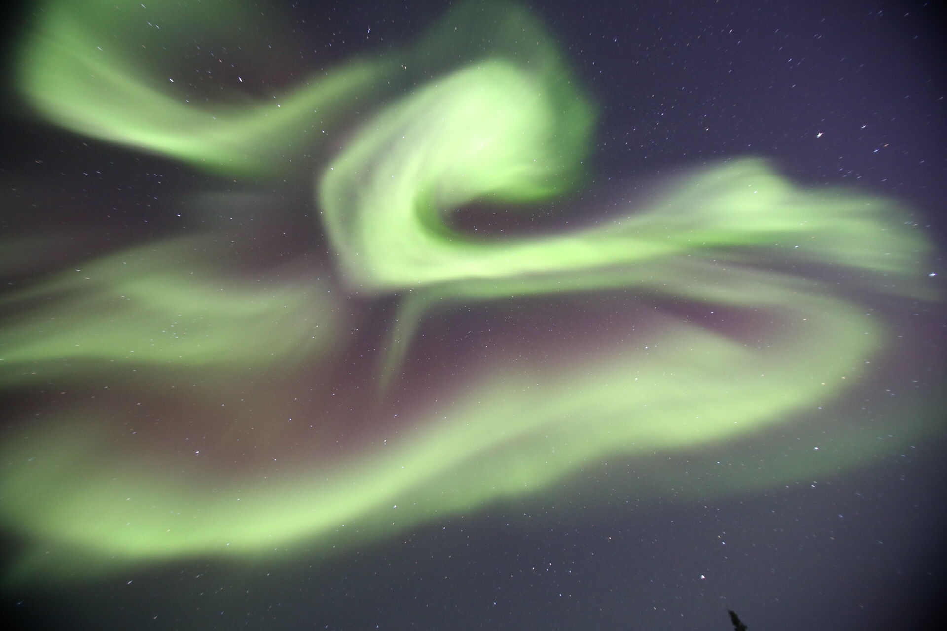 Yellowknife Tours Ltd.