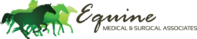 Equine Medical and Surgical Associates