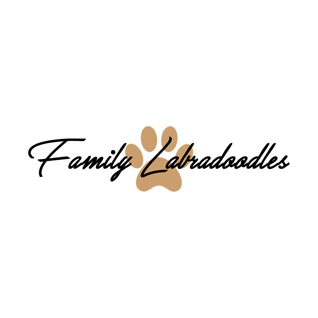 Family Labradoodles