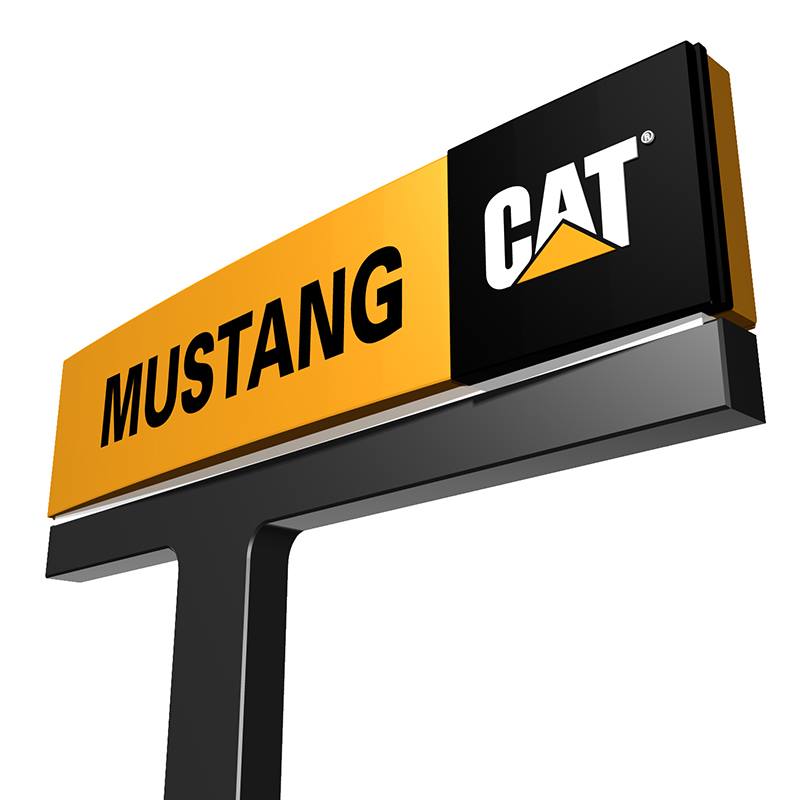 Mustang Cat - BryanCollege Station