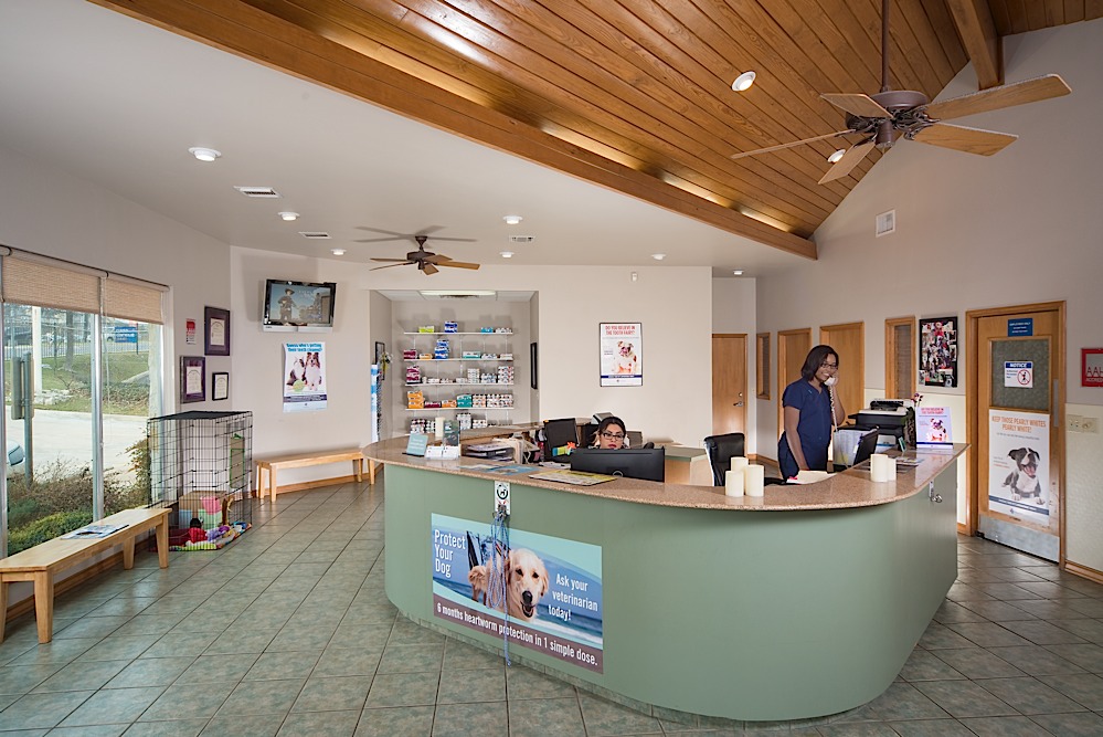 VitalPet Huebner Oaks Veterinary Hospital Animal Hospital San