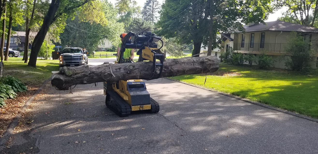 True Tree Solutions Image