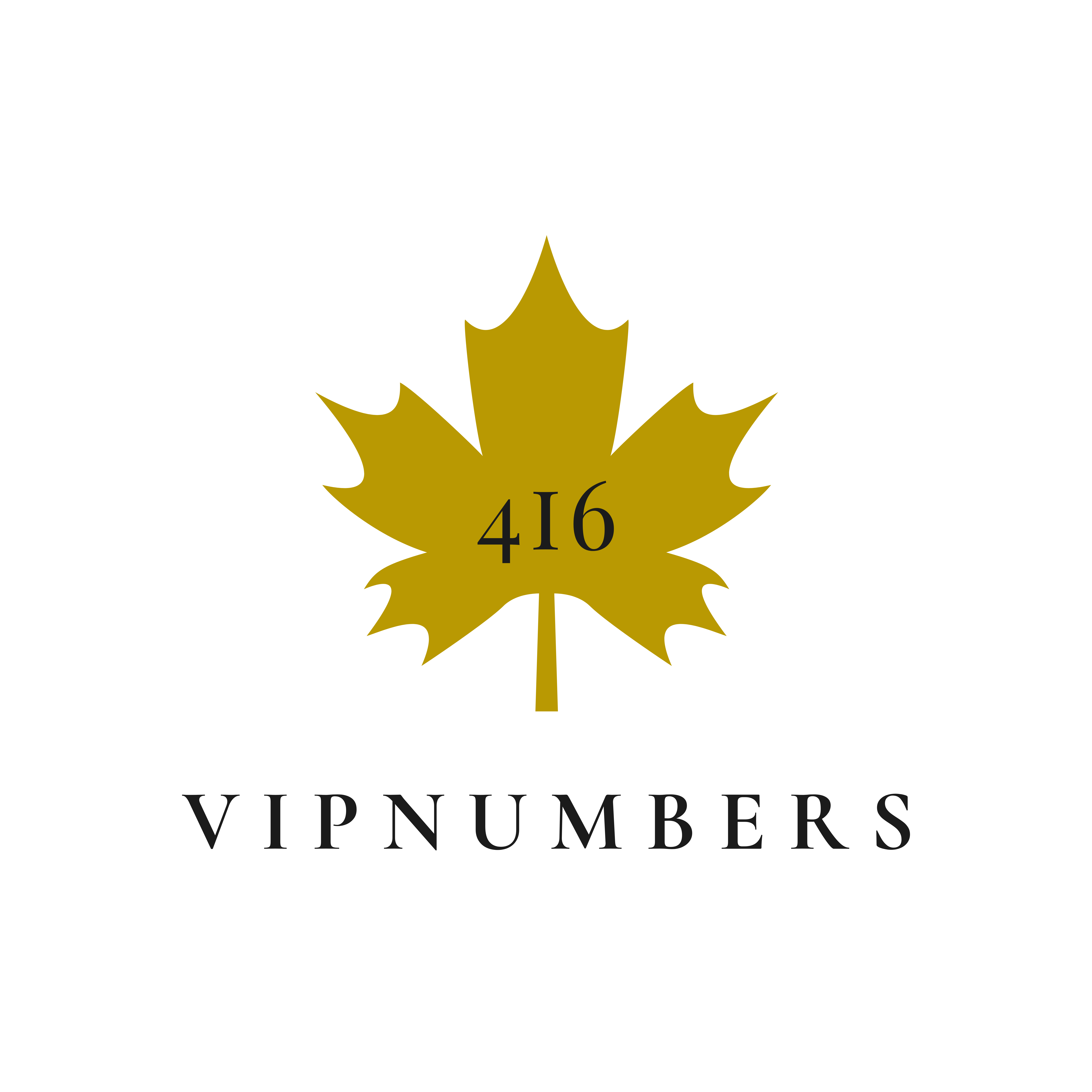 4i6 VIP NUMBERS