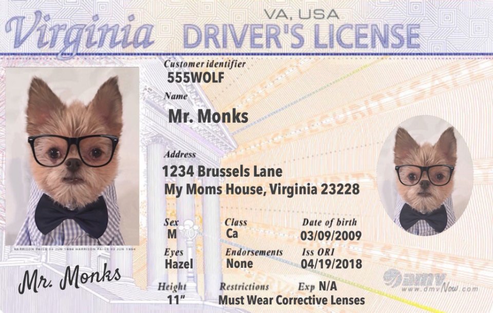 AA Club Driving School