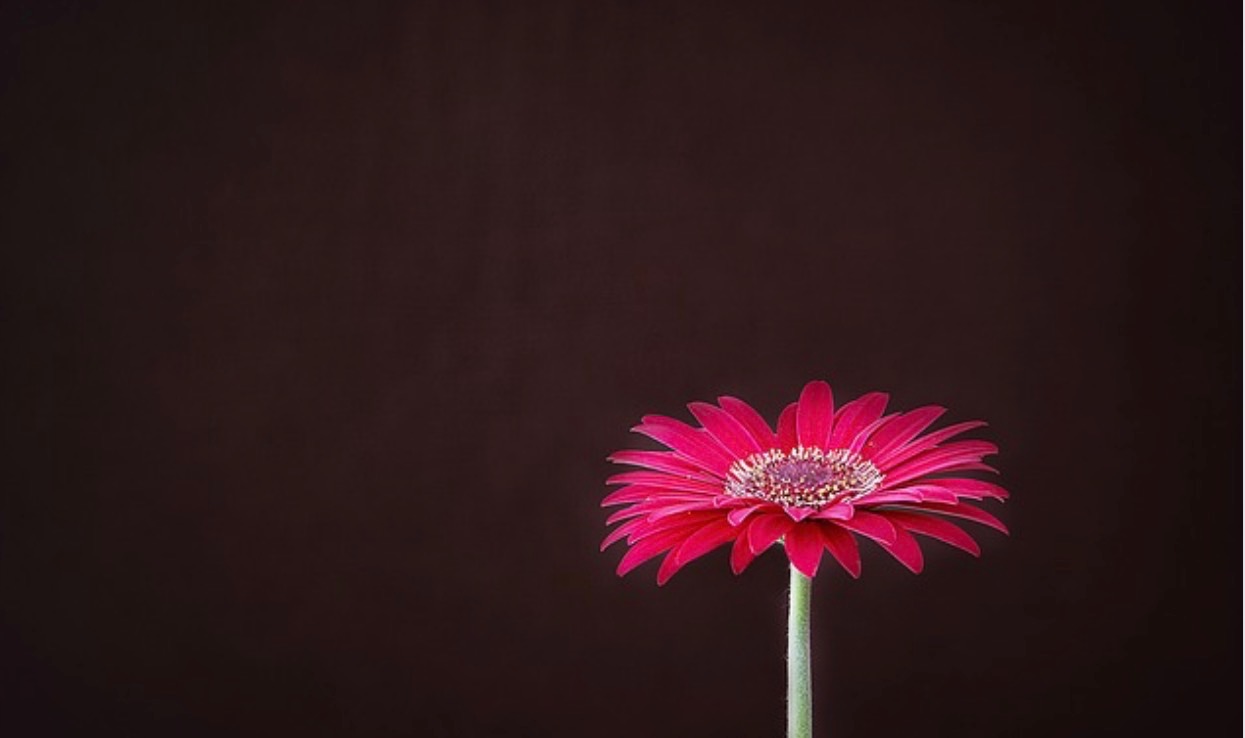 Affinity Counselling
