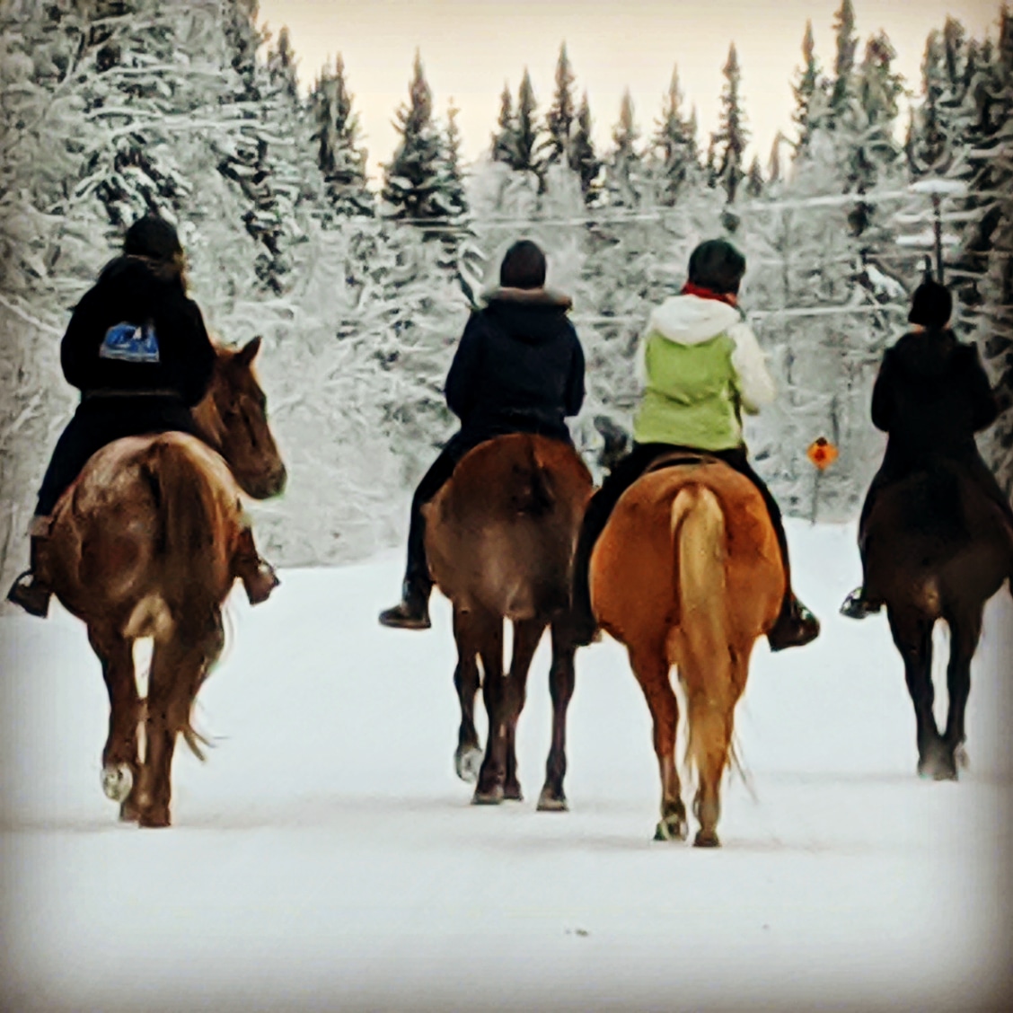 Cath Lair Farms