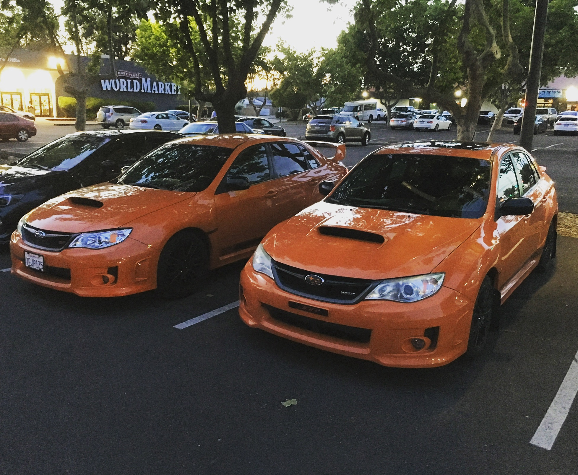 209 Mobile Vin Verifications