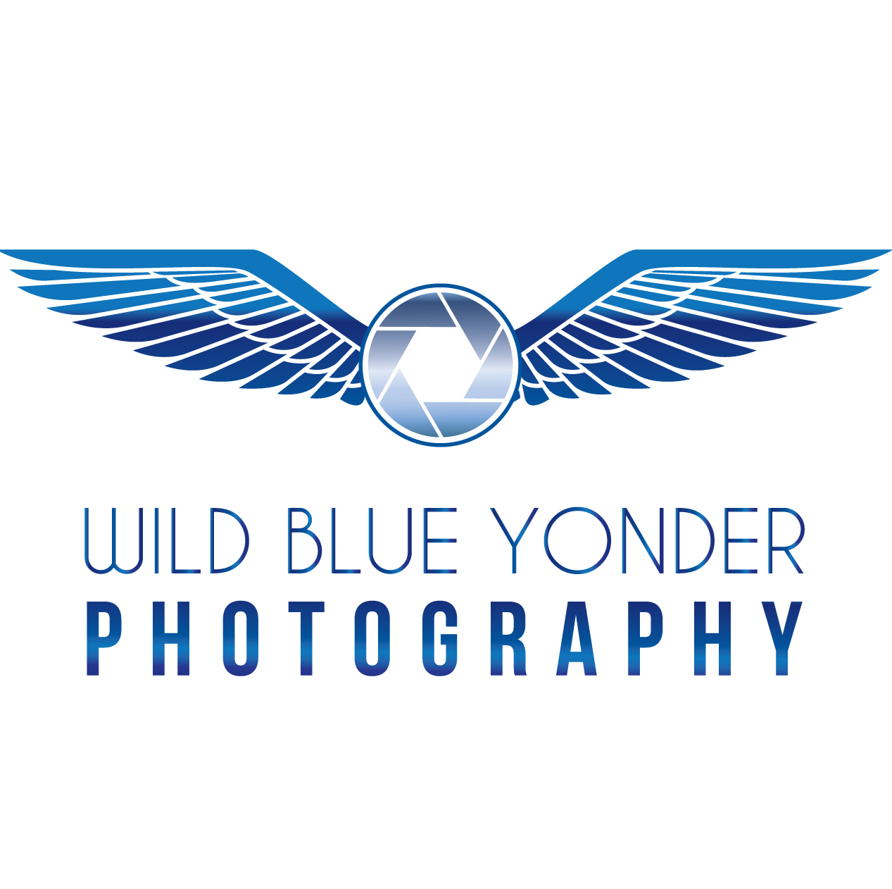 Wild Blue Yonder Photography