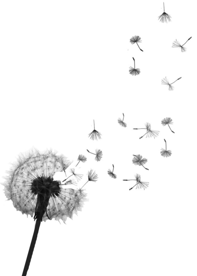 Amanda Conner Counseling LLC