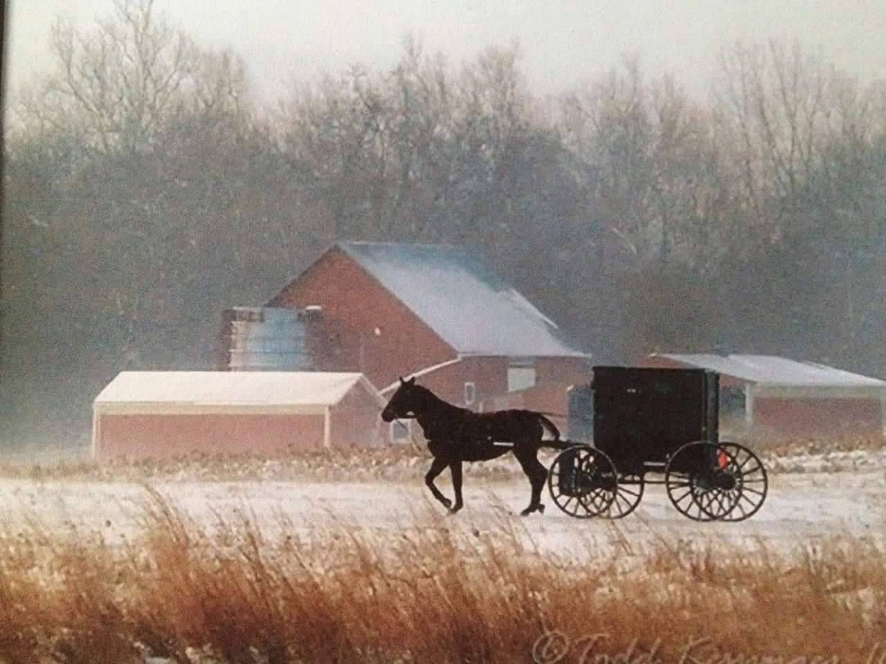Amish Valley Sheds LLC