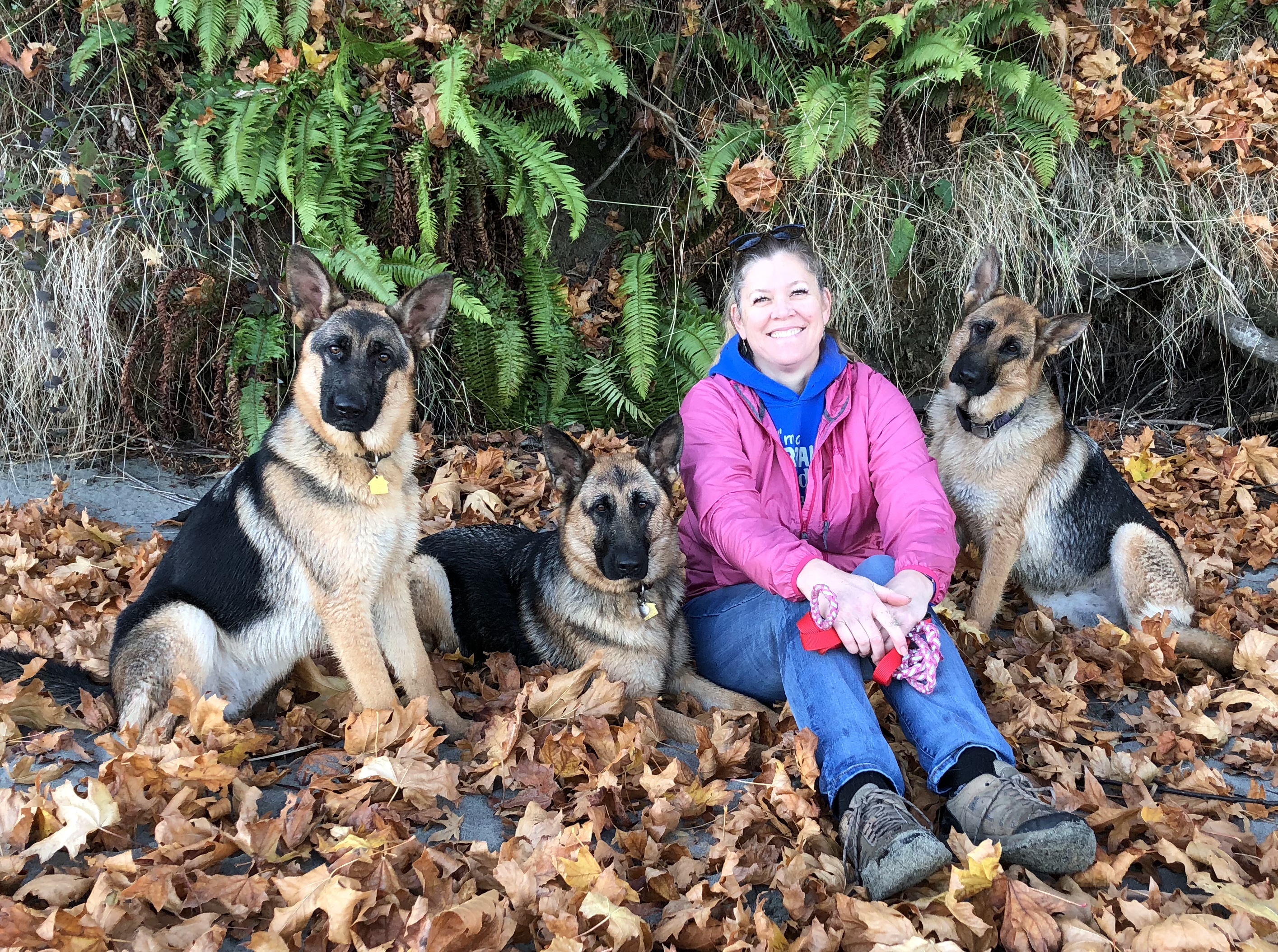 Von Ridens German Shepherds