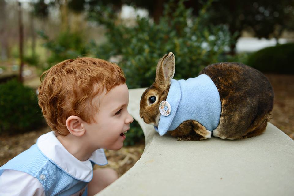 Mrs. Cottontail and Friends