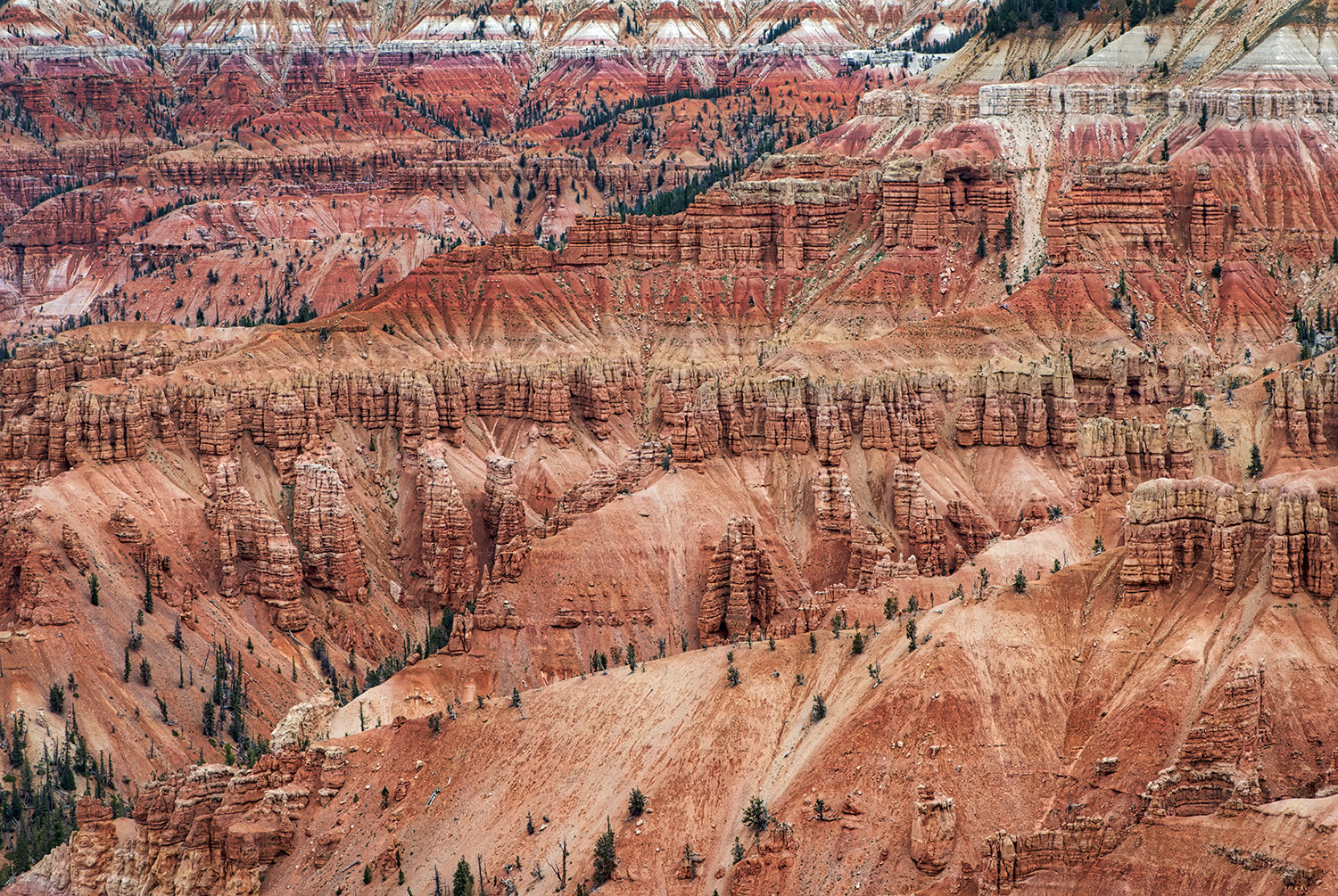 Photography by Timothy See