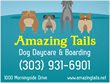 Amazing Tails Dog & Horse Boarding