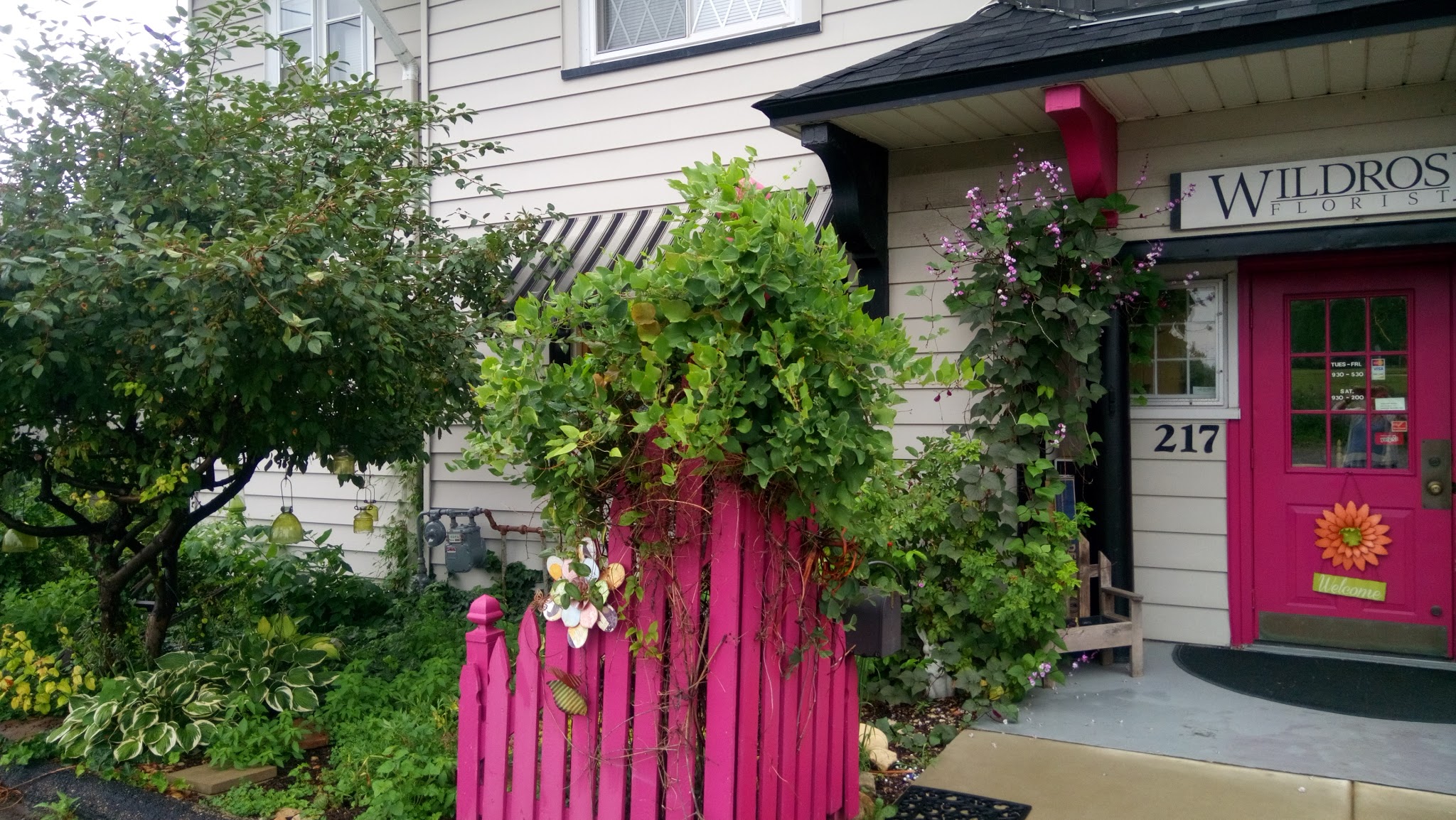 Wild Rose Florist