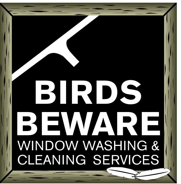 Birds Beware Window Washing