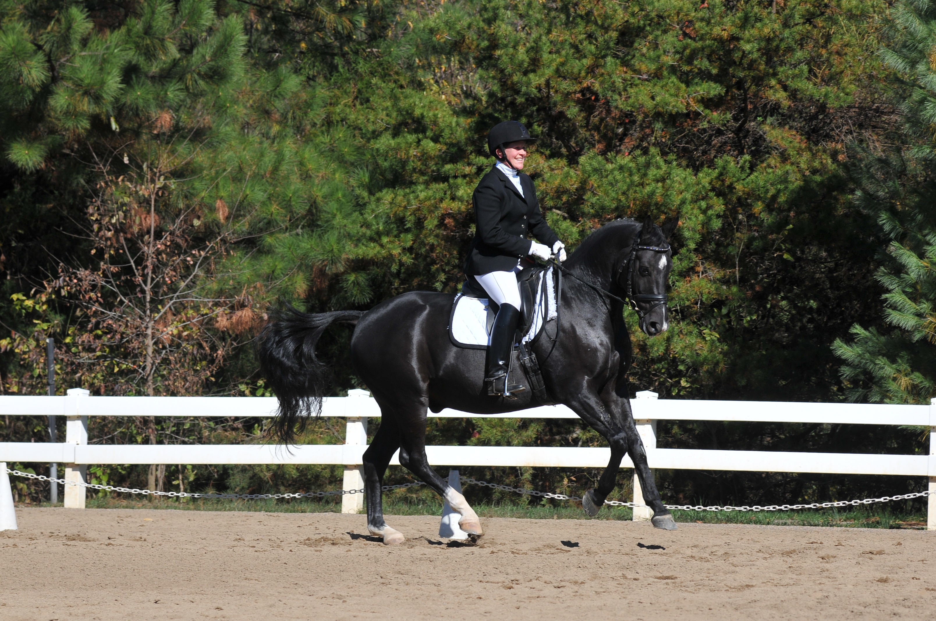 Alison Head Dressage