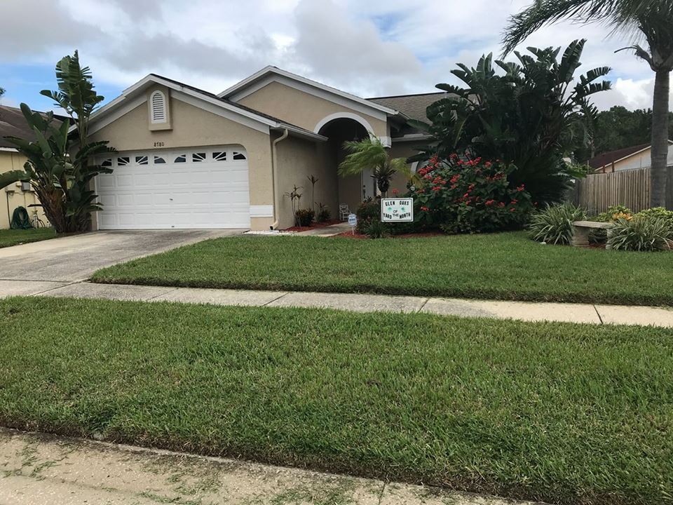 Dico lawn maintenance
