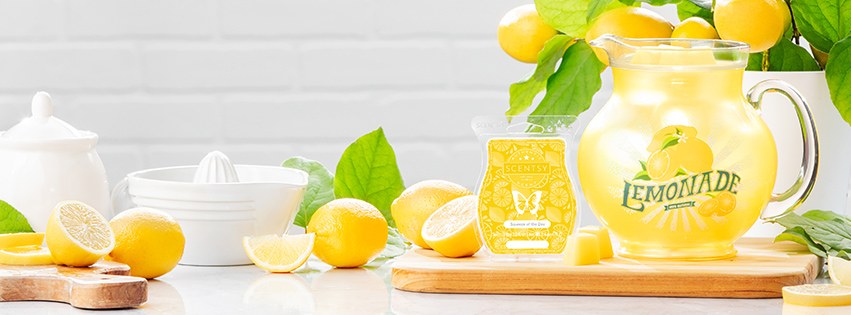 Scentsy Independent Consultant