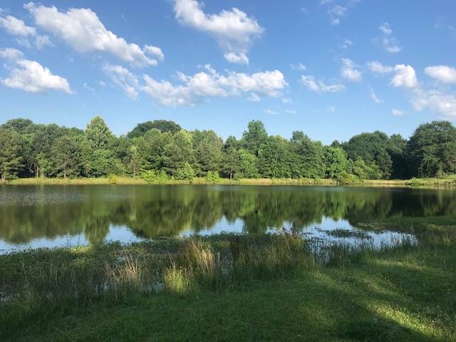 Tammy Liller Associate Broker/Realtor at First Realty of Greenville, Inc. Trust in Tammy