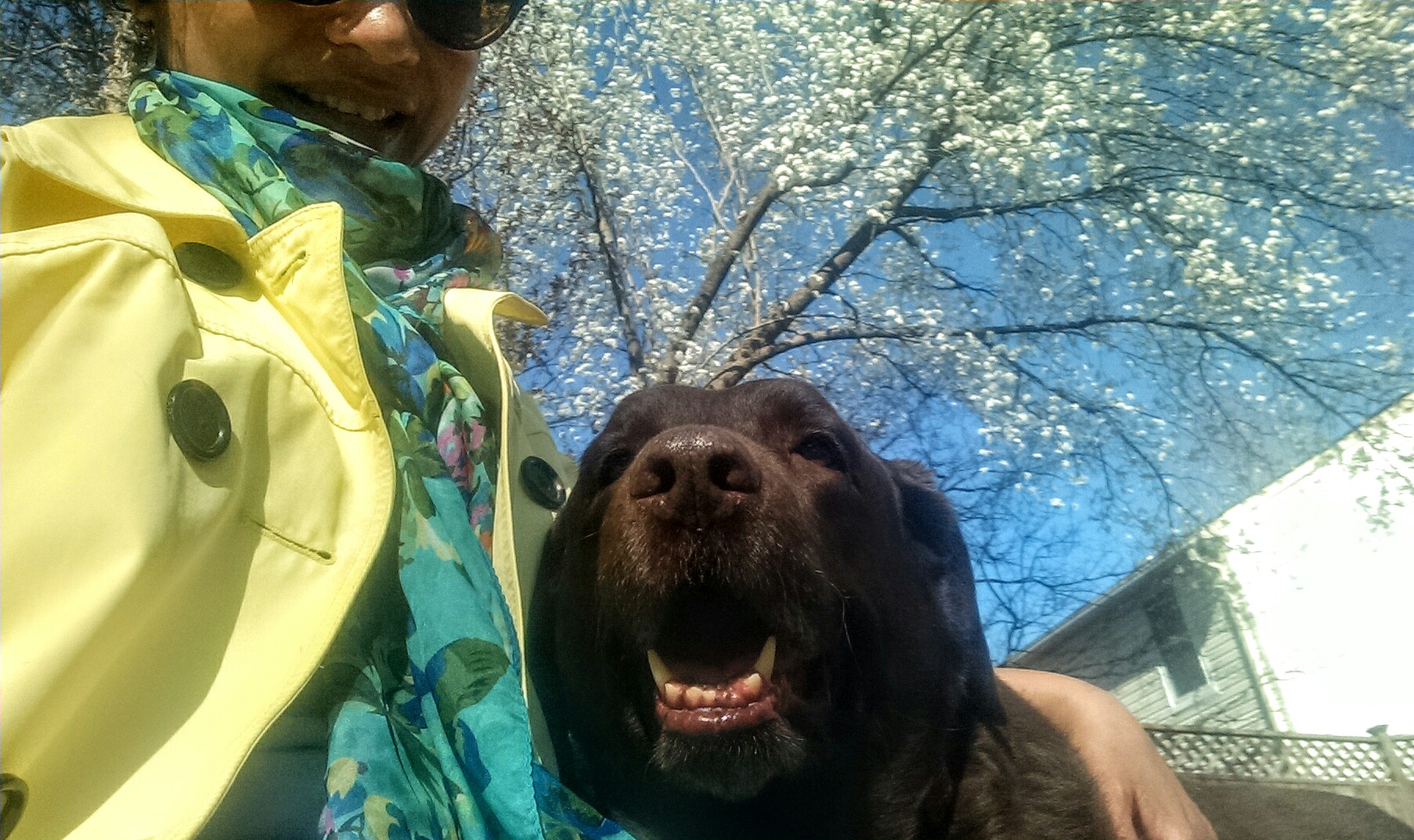 Paw Keepers Dog Walking and Pet Sitting Service
