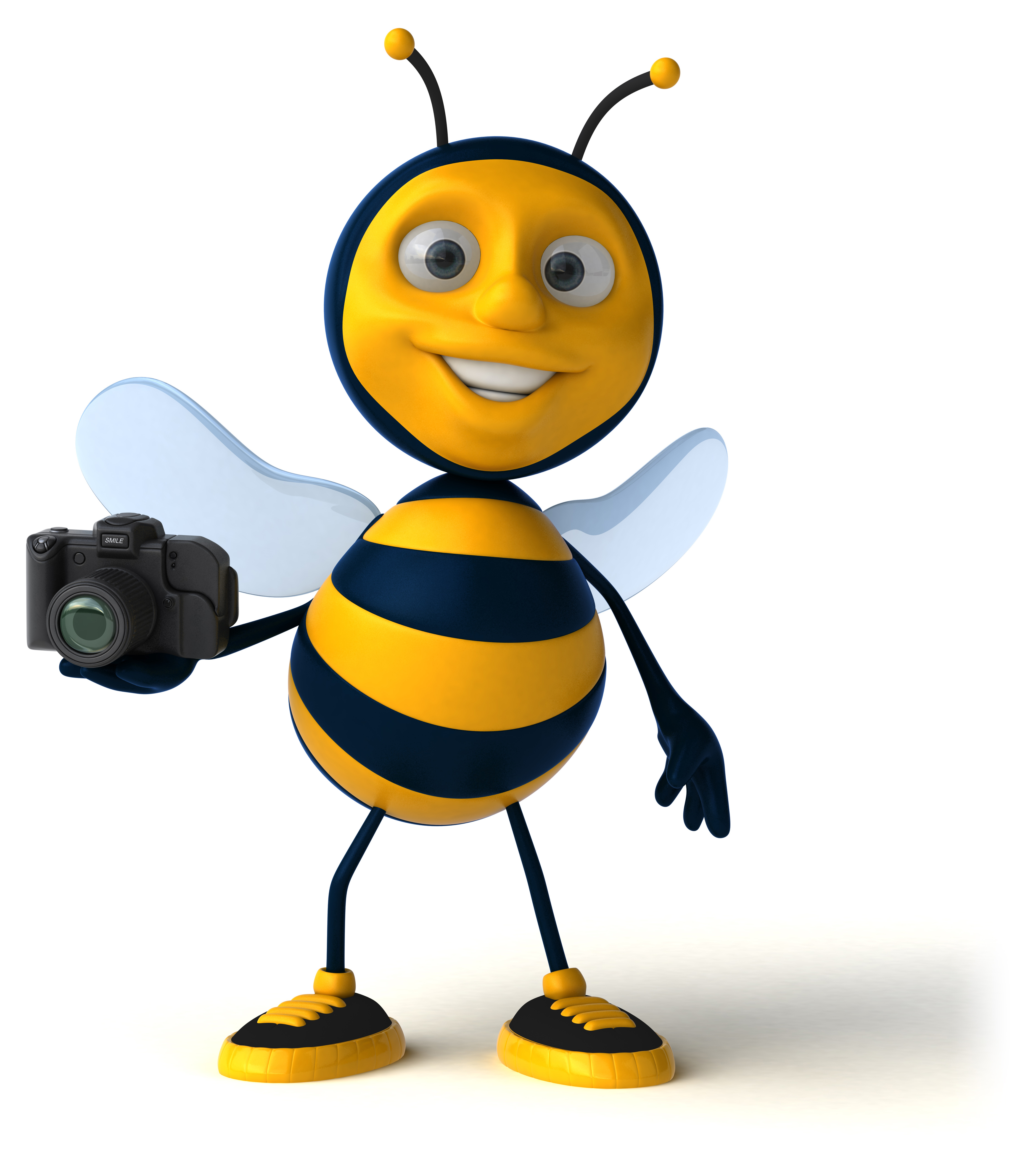 Bee Positive Photography