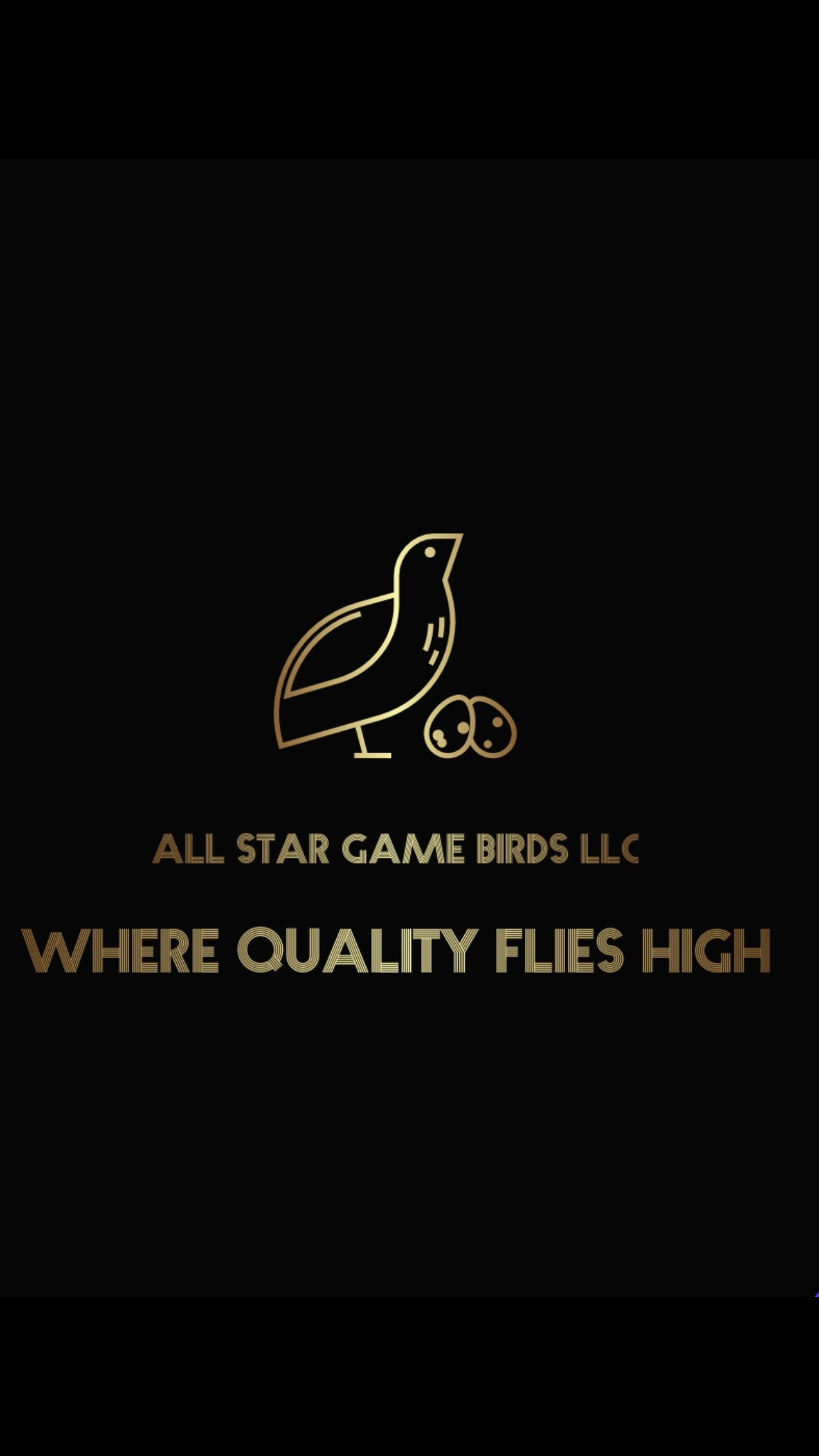 All Star Game BirdsLLC