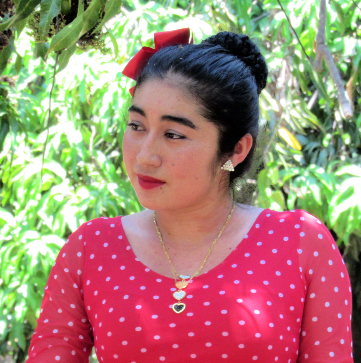 Ajuchitlan del Progreso