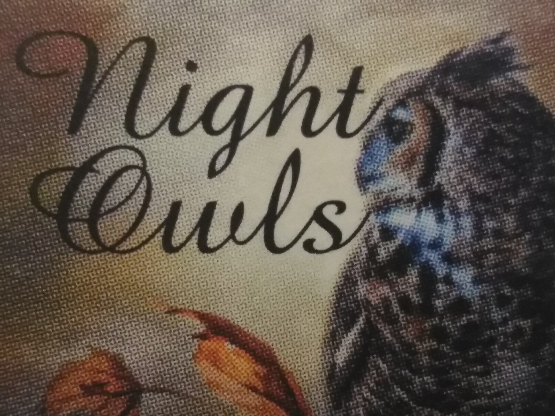 Night Owls Commercial Cleaning Service
