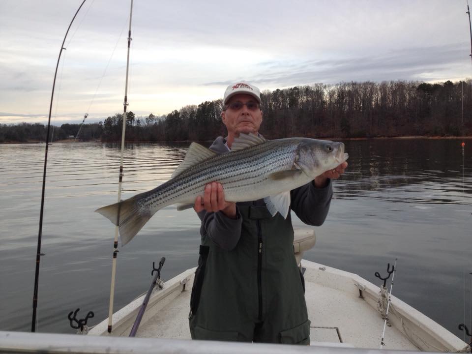 Fogman Fisheries
