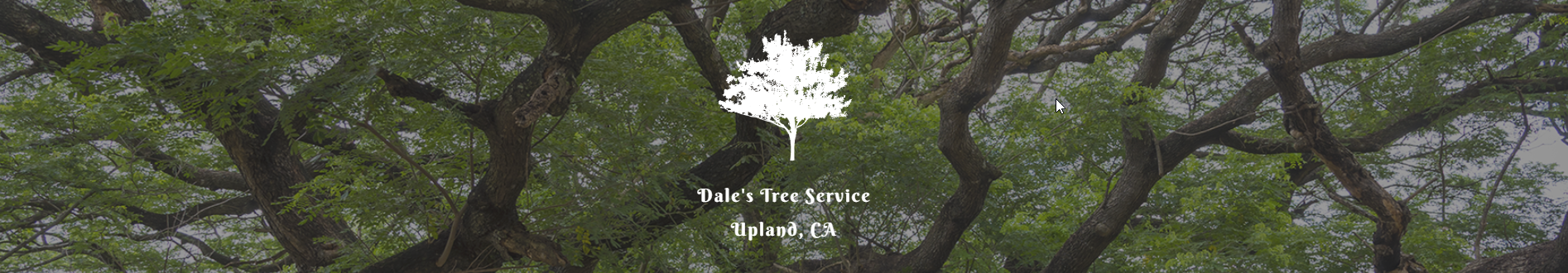 Dales Tree Service
