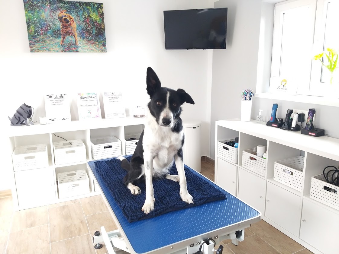 Busy Bee Hundesalon