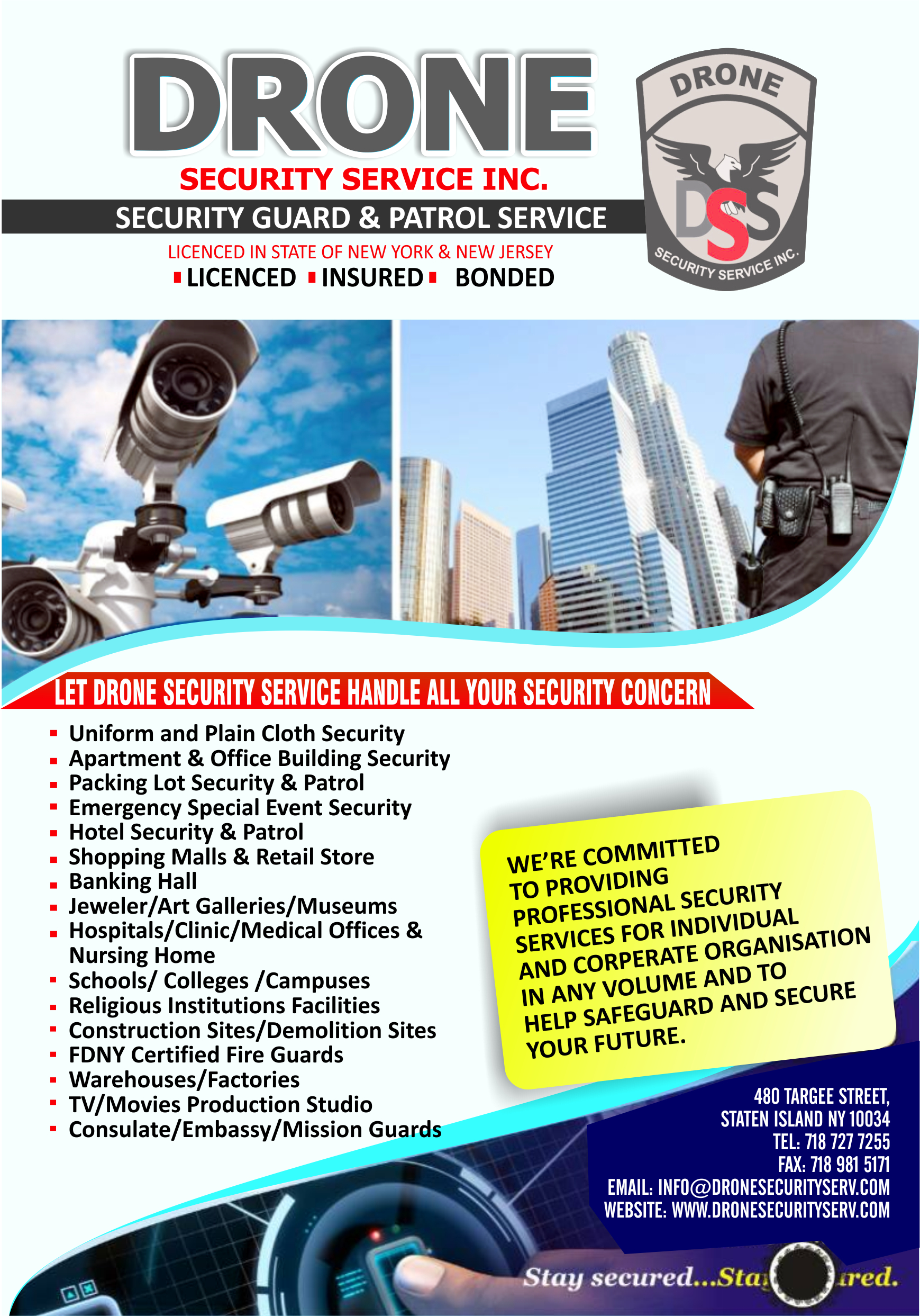 DRONE SECURITY SERVICE INC