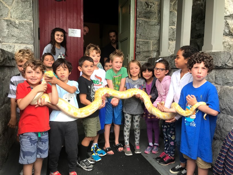 NJ Snake Man
